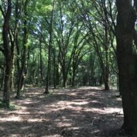 image17(1)