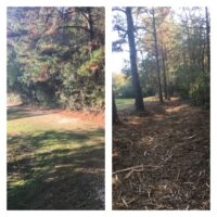 image5(1)